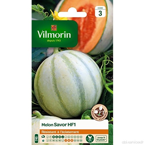 Vilmorin 3664743 Pack de Graines Melon Savor HF1 Création - B010LYZD9M