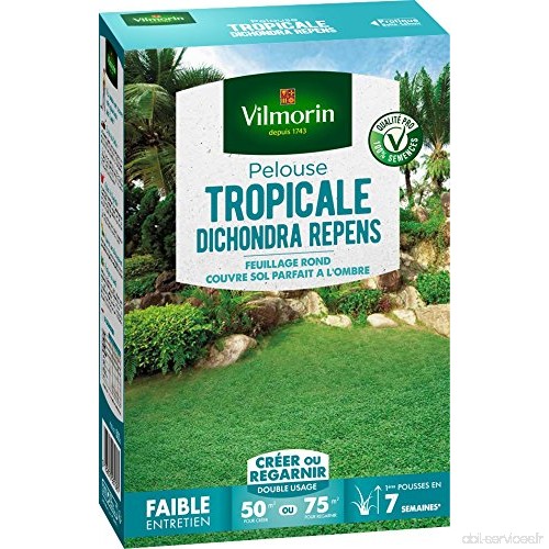 Vilmorin 4346012 Pelouse Tropicale Dichondra Repens  Vert  500 g - B078W5TV4P