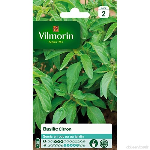 Vilmorin 5873342 Pack de Graines Basilic Citron - B010LYXLLO