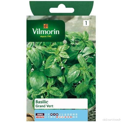 Vilmorin - Basilic Grand vert - B00B09F33Y