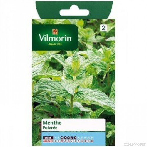 Vilmorin - Sachet graines Menthe poivrée - B01DPSWMV8