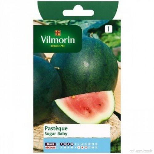Vilmorin - Sachet graines Pastèque sugar baby - B01DPSW4MA