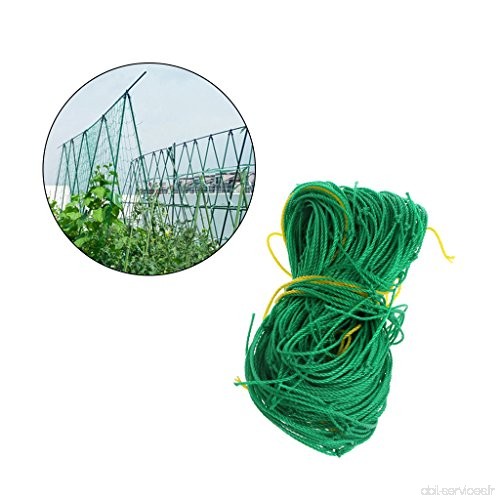 Wifun Jardin en nylon Vert en treillis support Plante haricots grimpants filets Grow Clôture - B07B2VJH2V